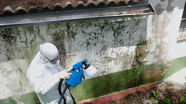 Top rated local Commercial Mold Remediation specialists in Edgewater, NJ